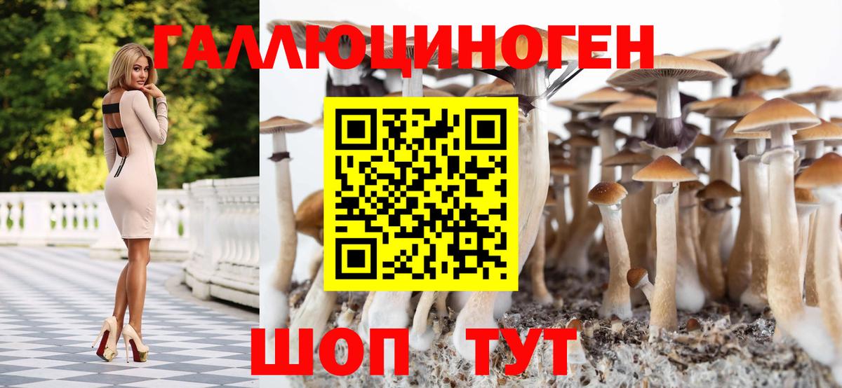 Галлюциногенные грибы MAGIC MUSHROOMS Саянск